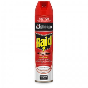 Raid One Shot Surface Spray Odourless 450gm (12/ctn)